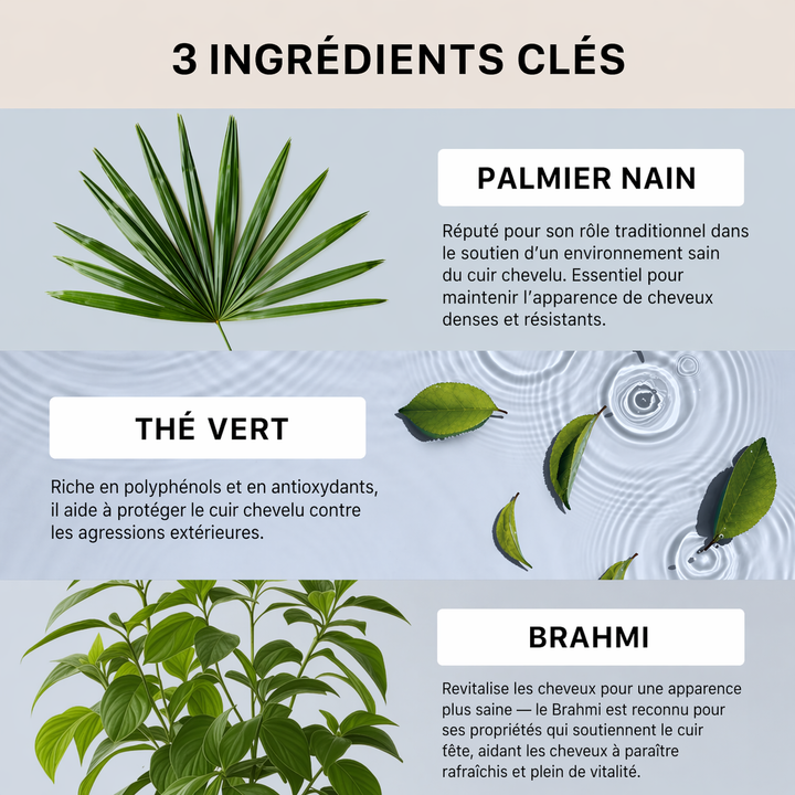 Illustration des ingrédients clés d’un soin capillaire épaississant avec feuille de palmier nain verte sur fond clair, feuilles de thé vert flottant dans l’eau avec ondulations et plante brahmi feuillue, visuel naturel mettant en avant des actifs botaniques pour cuir chevelu sain et cheveux plus denses