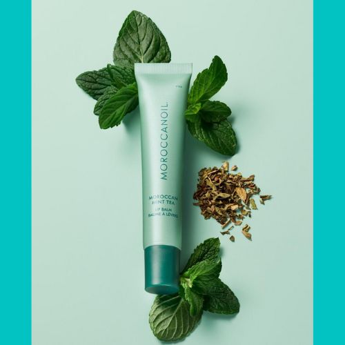 Baume à lèvres Moroccanoil Moroccan Mint Tea – tube vert menthe sur fond vert avec feuilles de menthe fraîche et thé séché pour un effet rafraîchissant.