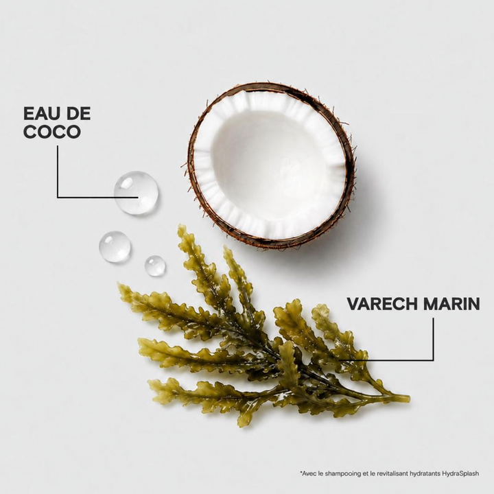 Eau de coco et varech marin présentés comme ingrédients du soin capillaire hydratant Joico HydraSplash sur fond blanc.