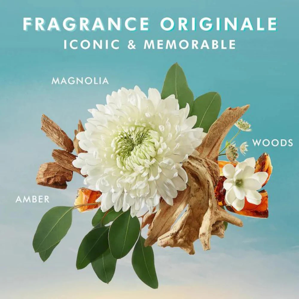 Illustration des notes du parfum Moroccanoil avec magnolia blanc, bois naturels et ambre représentant la fragrance iconique.