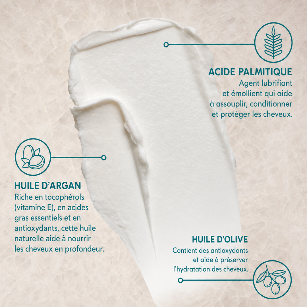 Illustration des ingrédients clés de la Crème de Modelage Moroccanoil présentant l’huile d’argan, l’huile d’olive et l’acide palmitique dans une texture crémeuse blanche sur fond beige.