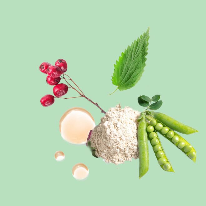 Montage visuel sur fond vert pastel d’ingrédients naturels présents dans la formule : baies rouges, ortie, pois verts, argile blanche et extraits liquides végétaux.