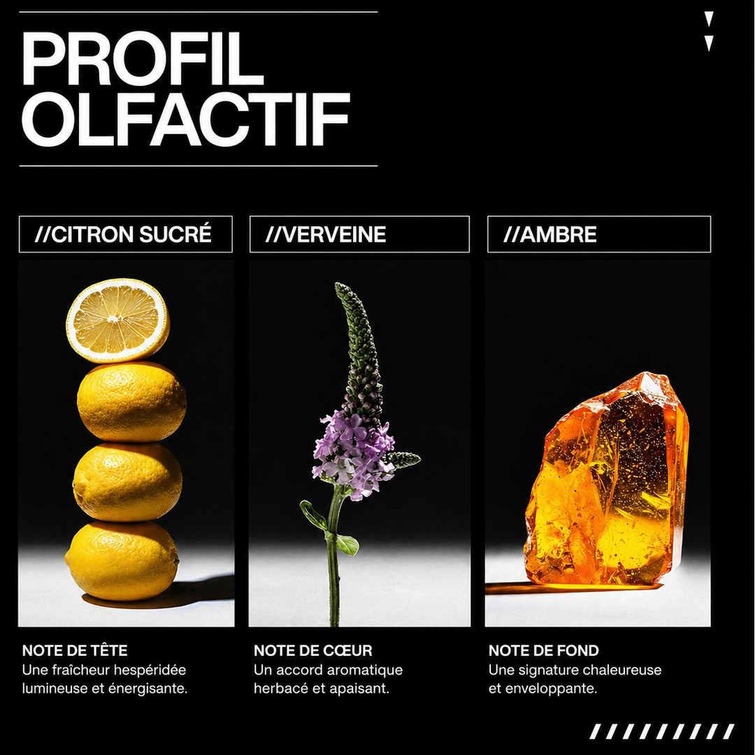 Profil olfactif Redken Acidic Grow Full illustré par citron sucré, verveine et ambre sur fond noir, représentant les notes fraîches, aromatiques et chaleureuses du soin capillaire.
